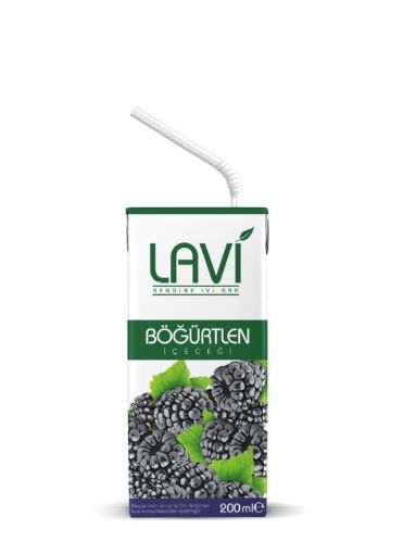 LAVI BOGURTLENLI KUTU 200 ML resmi